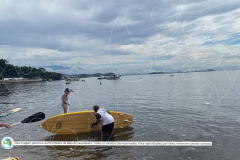 Articulacao-fase-2-com-marca-12-de-68