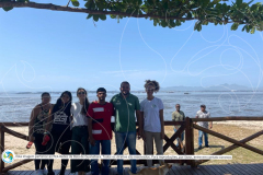 Articulacao-fase-2-com-marca-2-de-68