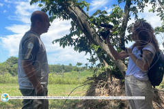 Articulacao-fase-2-com-marca-20-de-68