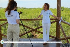 Articulacao-fase-2-com-marca-63-de-68