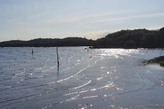 220411_Visita-Tecnica-APA-Guapi-mirim_Foto12