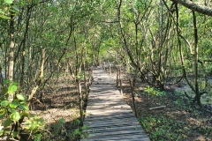 220411_Visita-Tecnica-APA-Guapi-mirim_Foto6