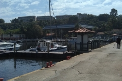 220817_Gravacao_Diaria-16_Velejador-Francisco-Eduardo_FOTO-2