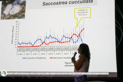 LAMCE-fase-2-com-marca-5-de-13