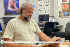 DESMOBILIZACAO-fase-2-com-marca-28-de-75