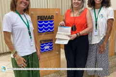 DESMOBILIZACAO-fase-2-com-marca-60-de-75