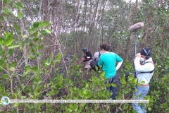 Diarias-de-Gravacao-Serie-Espelhos-da-Baia-54