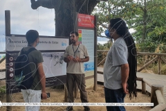 Pesquisa-Exploratoria-Serie-Espelhos-da-Baia-4