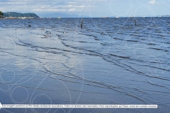 Pesquisa-Exploratoria-Serie-Espelhos-da-Baia-47