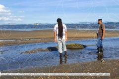 Pesquisa-Exploratoria-Serie-Espelhos-da-Baia-71