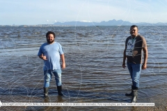 Pesquisa-Exploratoria-Serie-Espelhos-da-Baia-73