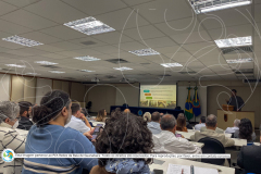 Retomada-fase-2-com-marca-15-de-34