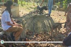 Articulacoes-com-marca-421-de-436