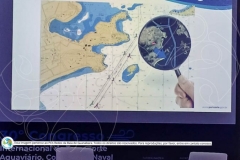 Articulacoes-com-marca-431-de-436