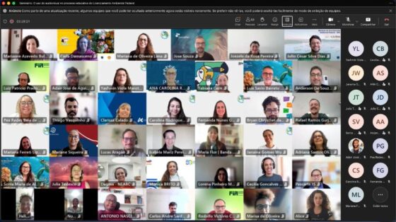 Boletim Informativo #26 – Novembro de 2025 