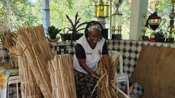 Como a presença de comunidades tradicionais na Baía de Guanabara influencia nos processos de decisão sobre o território?