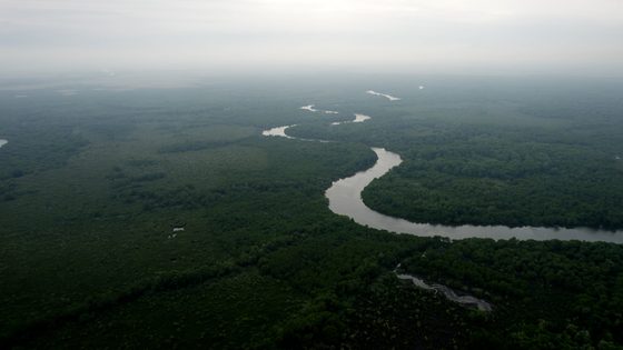 Dos rios ao espelho d’água: por que olhar para a Baía de Guanabara além de suas margens
